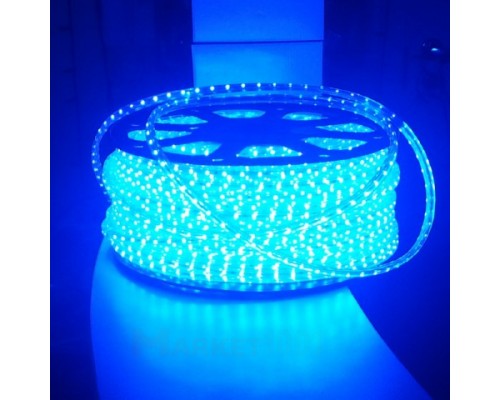 SMD дюралайт синий (кратность реза 1 метр)