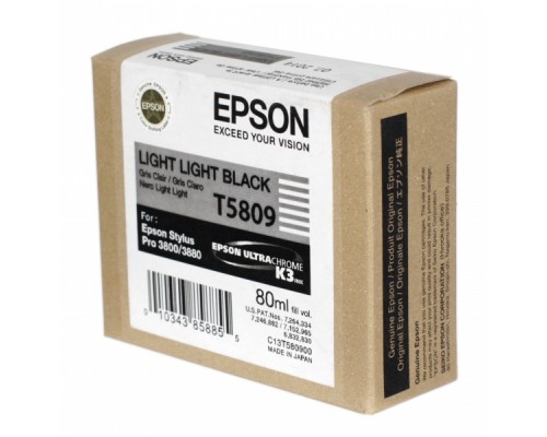 C13T580900 EPSON T5809 Картридж светло-серый